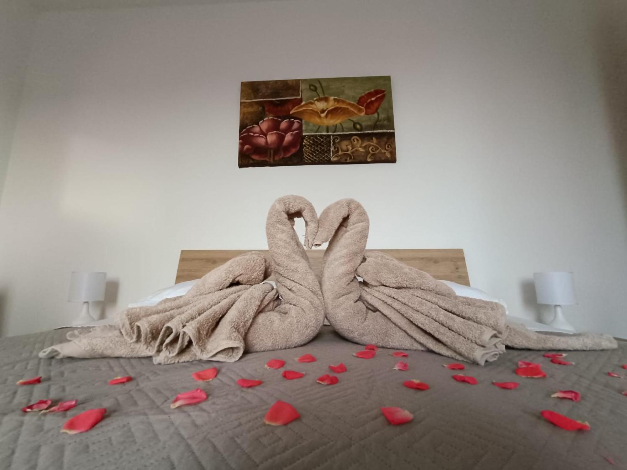 Florence House 산타 카테리나 델로 로니오 외부 사진